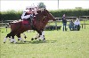 UKPA NC SAT_2481